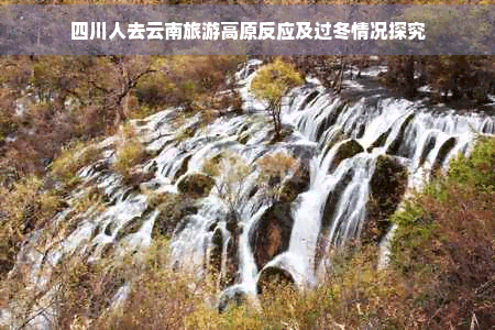 四川人去云南旅游高原反应及过冬情况探究
