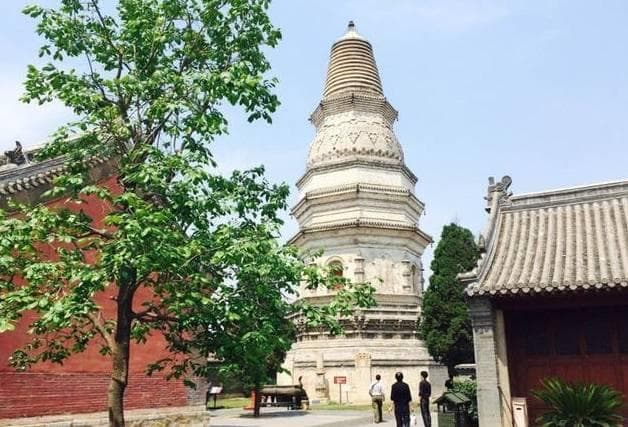 菏泽探秘：十大必游景点，解锁历史与自然的双重魅力