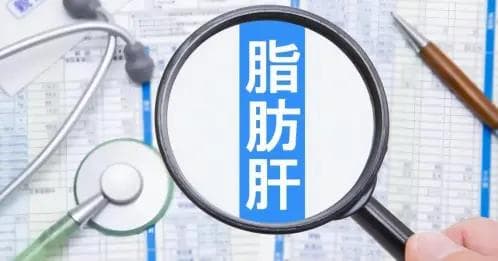 补充维生素B3有助于远离脂肪肝