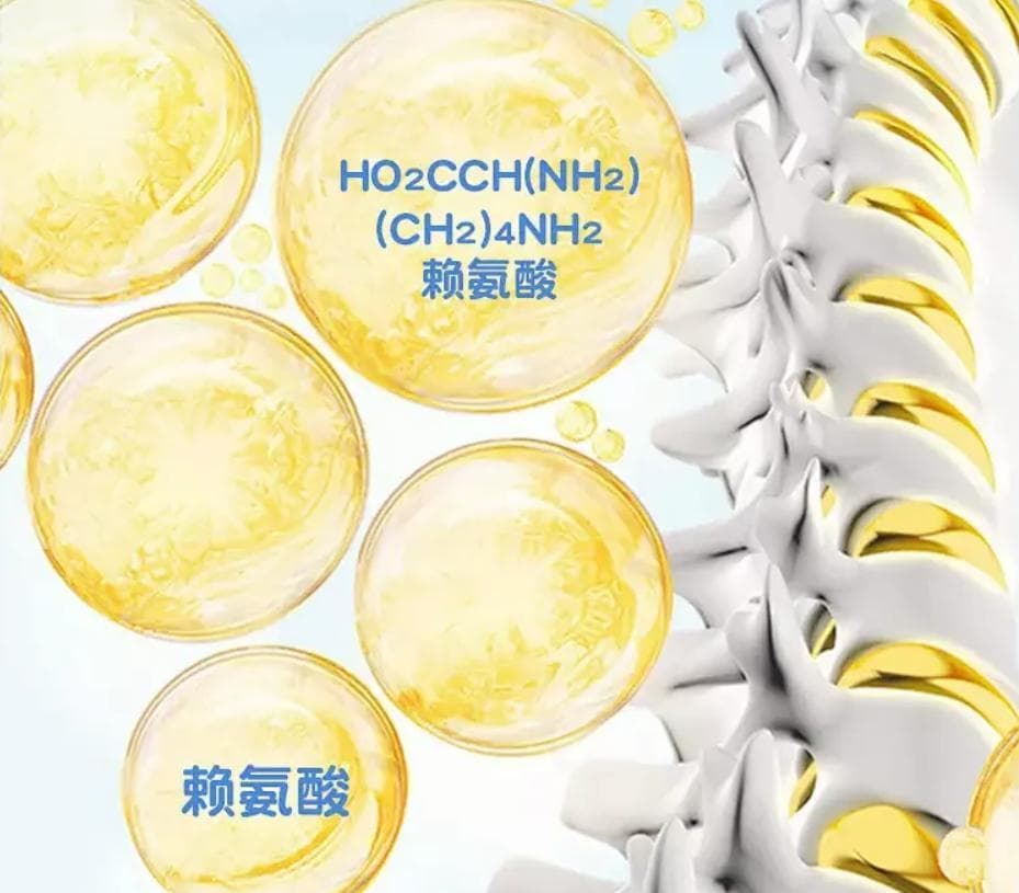 揭秘赖氨酸：人体健康的神秘钥匙