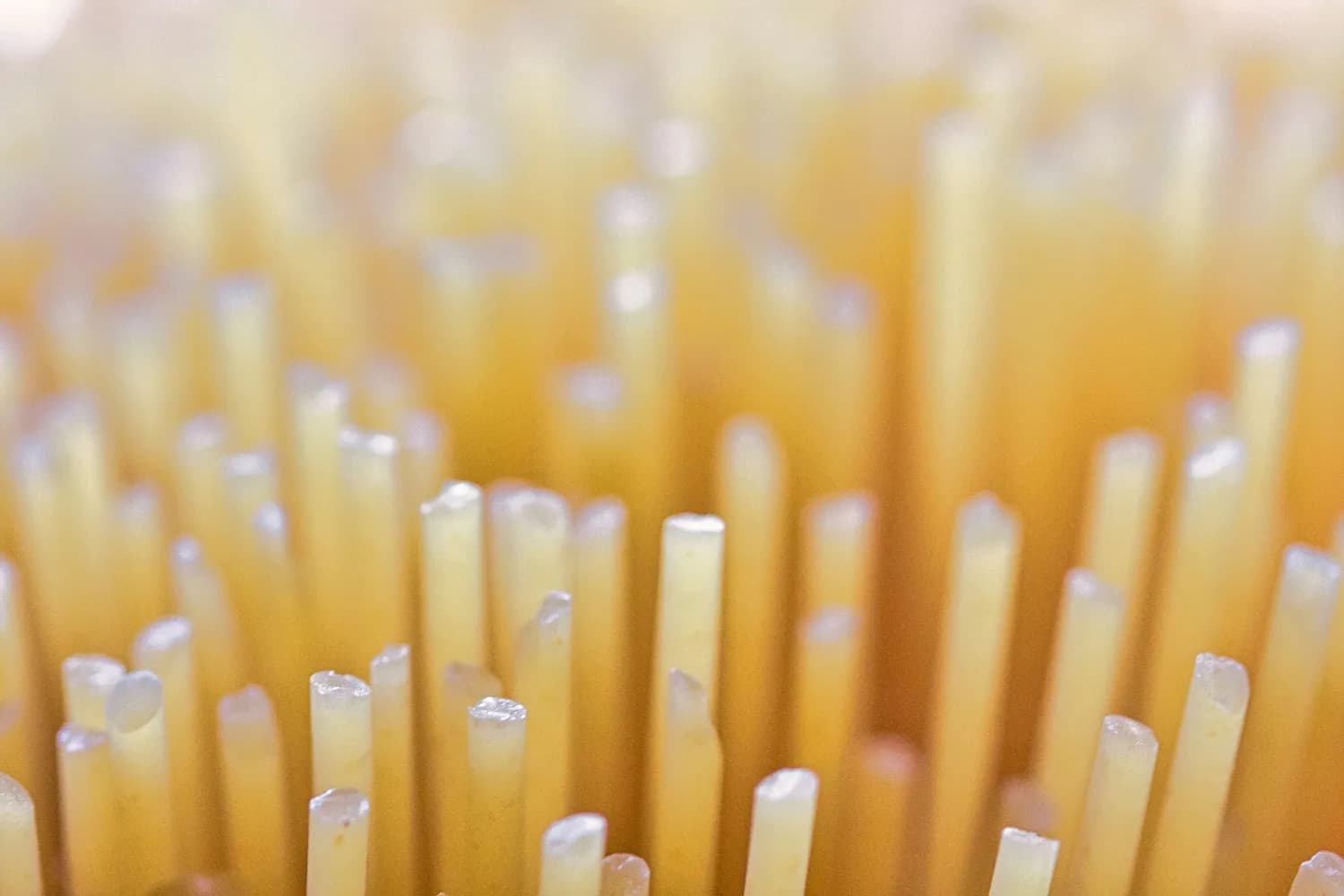妈咪爱枯草杆菌二联活菌颗粒：便秘治疗的新选择