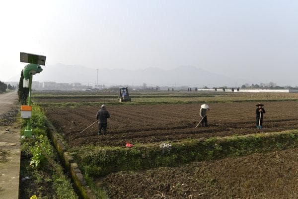 2025惊蛰节气有哪些传统习俗？