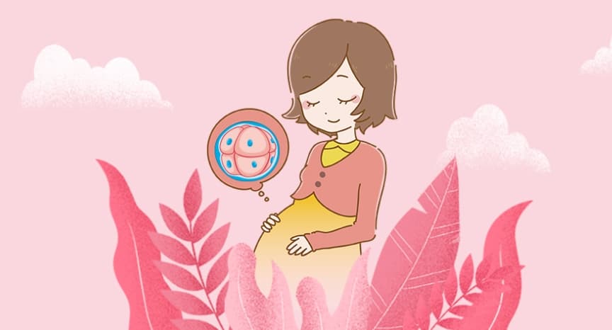 高龄备孕必看!高龄夫妻如何科学备孕?提升备孕成功率?