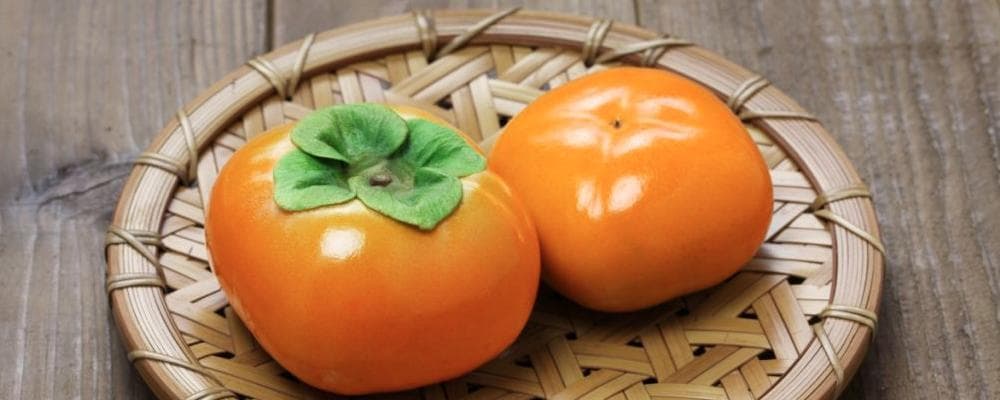 柿子叶的药用价值：从抗氧化到美容养颜