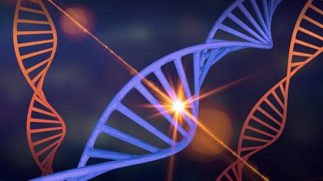 解码基因传承：孙子为何继承四分之一的爷爷基因