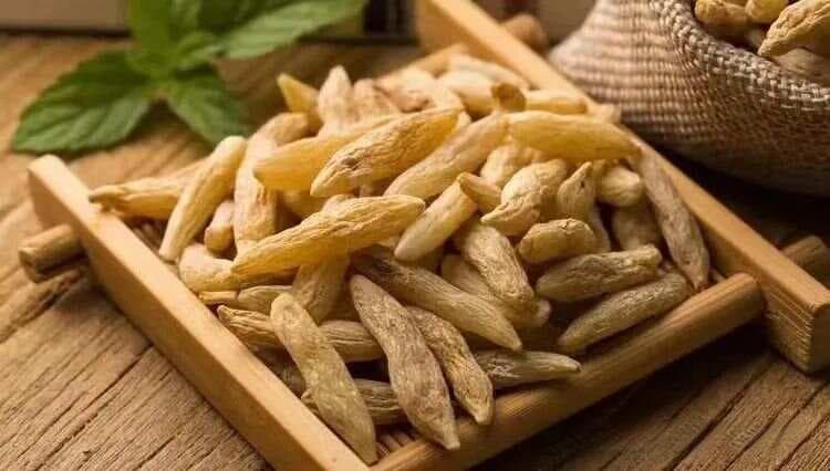 《神农本草经》精读与临证体会——麦冬