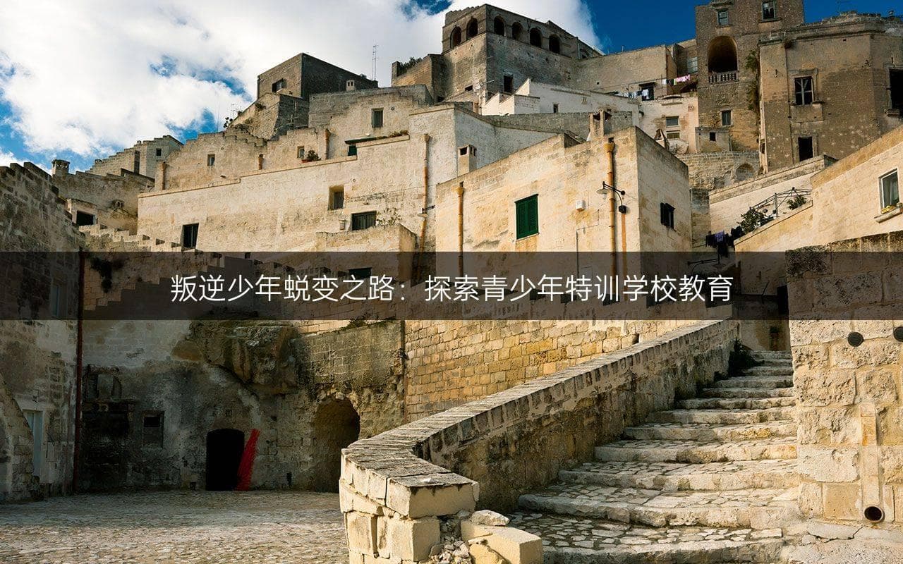 解密青少年特训学校：四种模式助力叛逆少年蜕变