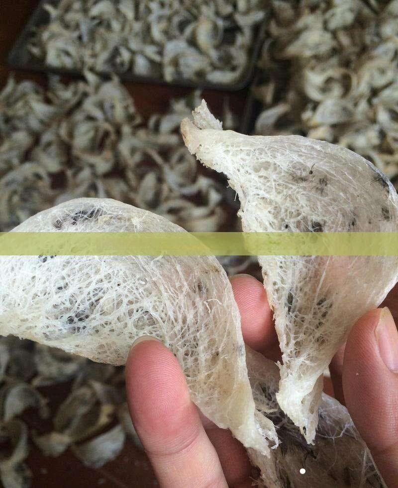 燕窝即食食用指南：全方位解析正确方法与搭配建议