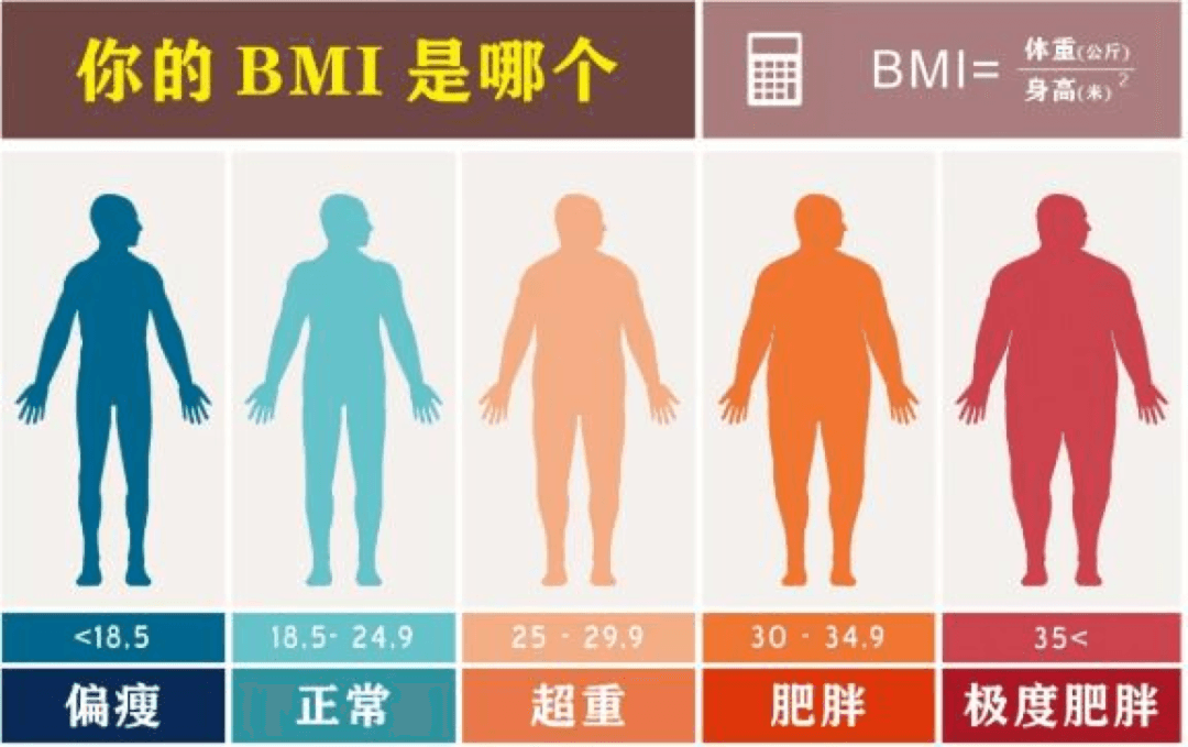 BMI要淘汰了？柳叶刀子刊发文重新定义“肥胖”！