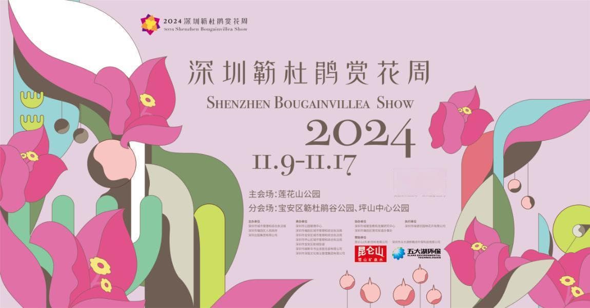 2024深圳簕杜鹃赏花周精彩来袭
