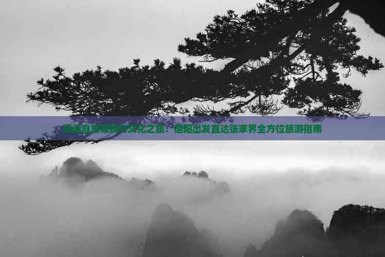 探索自然奇观与文化之旅：信阳出发直达张家界全方位旅游指南