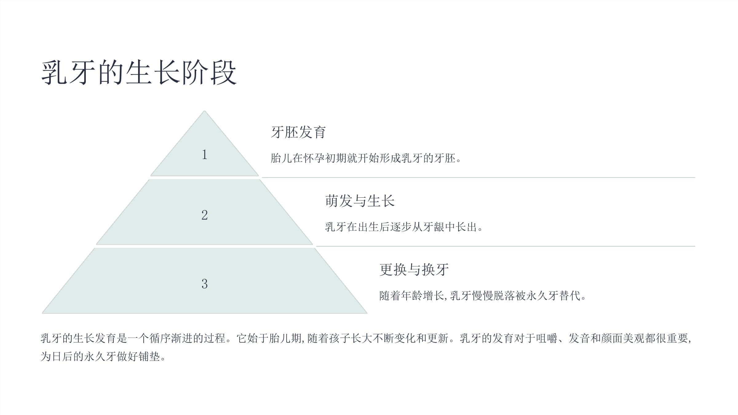 《牙齿的生长发育》课件