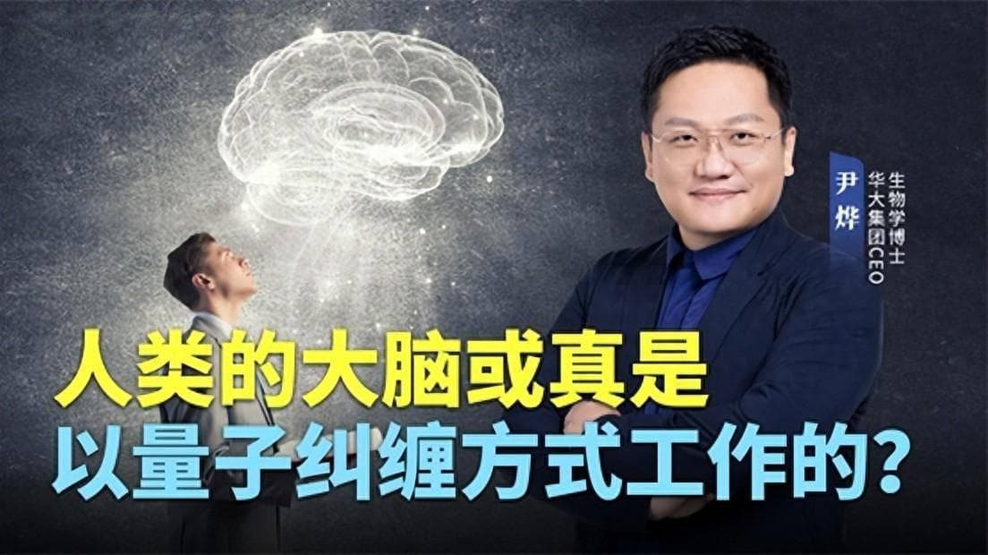 科学家发现：人类大脑或以量子纠缠方式工作
