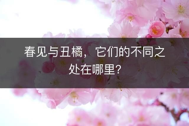 春见与丑橘：果树种植中的两种佳品
