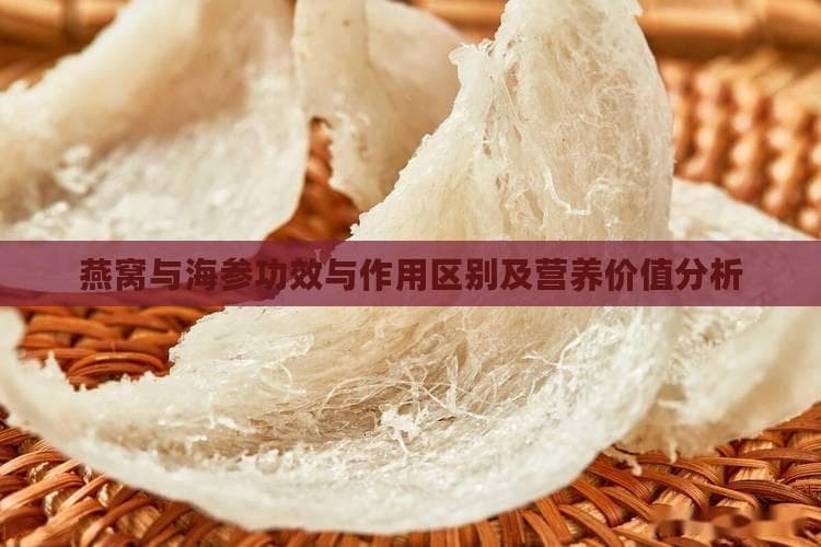 燕窝和海参肽哪个好一些