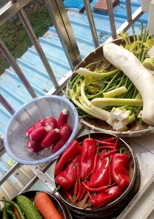 自创泡菜的制作方法（打造口感鲜美、健康美味的泡菜）