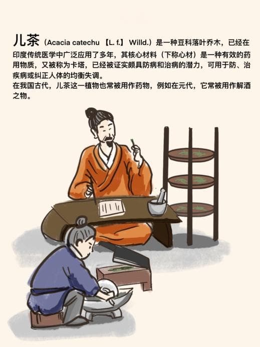 儿茶与儿茶酚胺：从植物到神经递质的科学解读