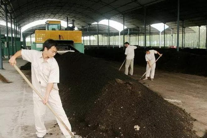 棉田黄腐酸钾肥料科学使用指南及避坑指南