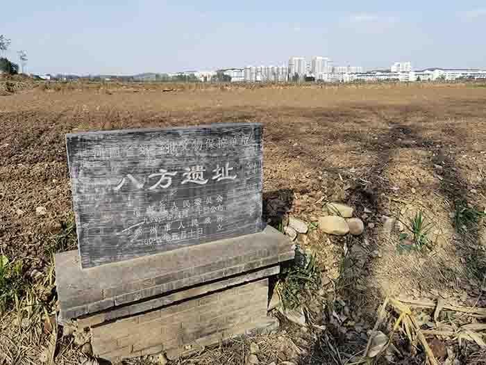 王城岗龙山文化晚期遗址现场考察
