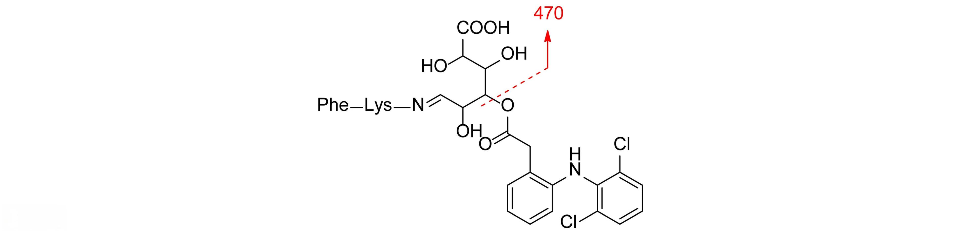 UGT酶的两面性──解毒还是引发毒性？如何识别和评估酰基葡萄糖醛酸代谢产物？