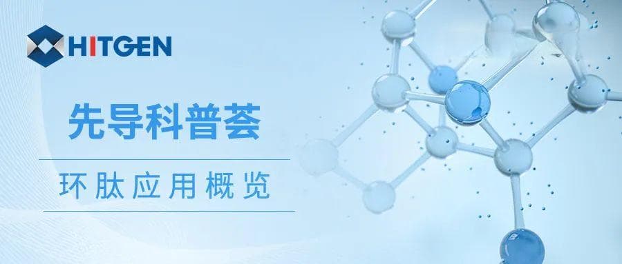 环肽应用概览：从结构特点到医疗应用