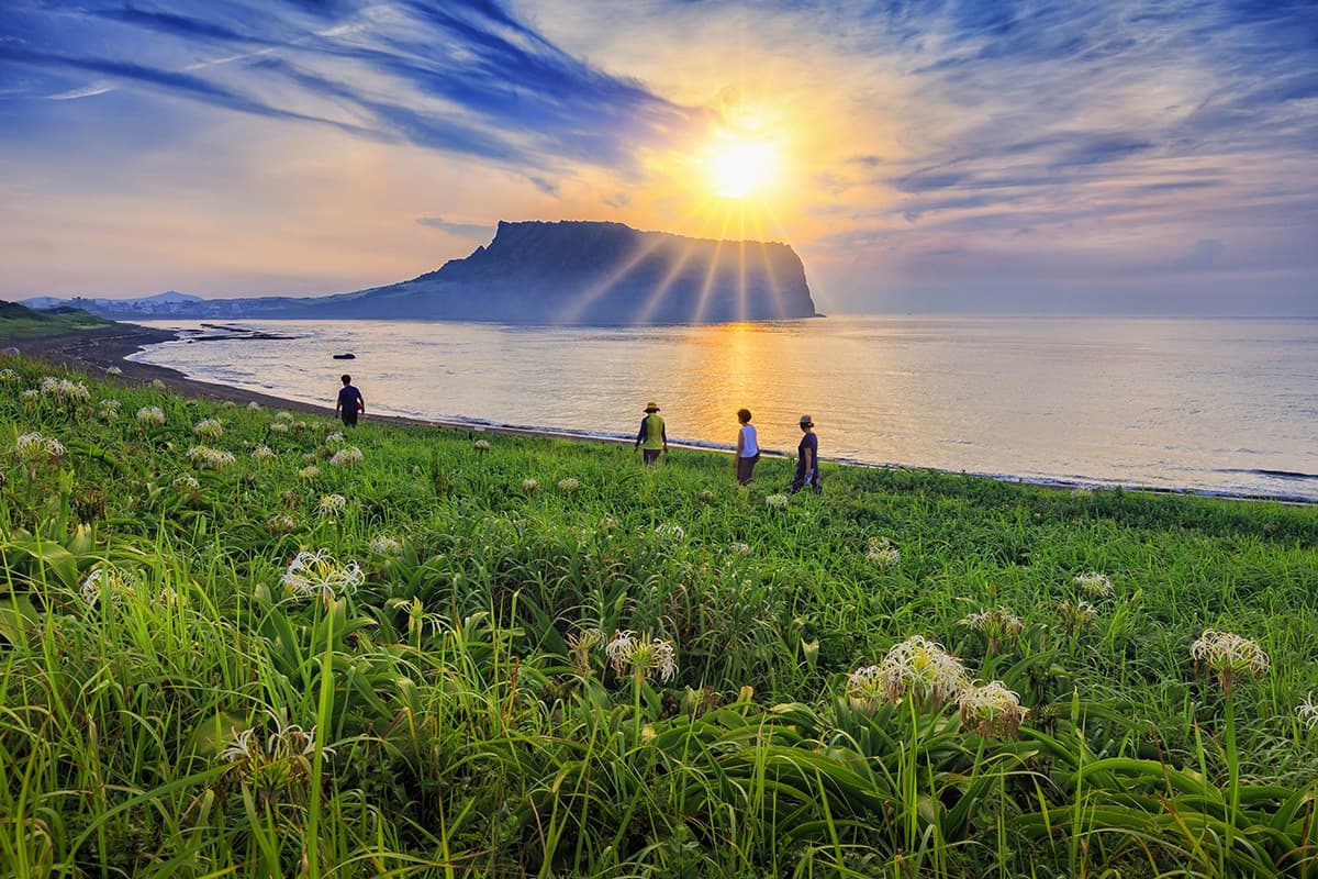 济州岛四季旅游指南：最佳季节与景点推荐
