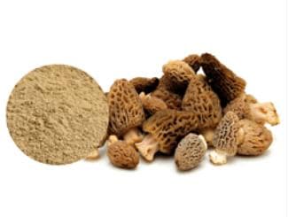 大黄提取物生产工艺与质量标准规范