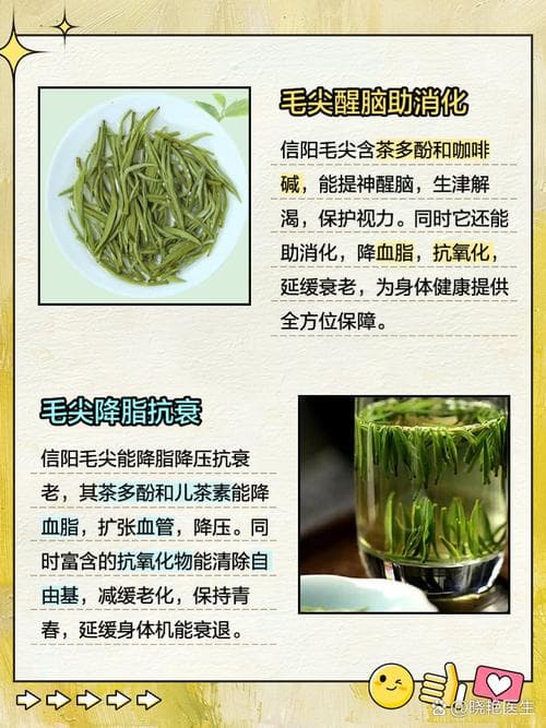 信阳毛尖泡完茶后茶叶可否食用，探究与解析