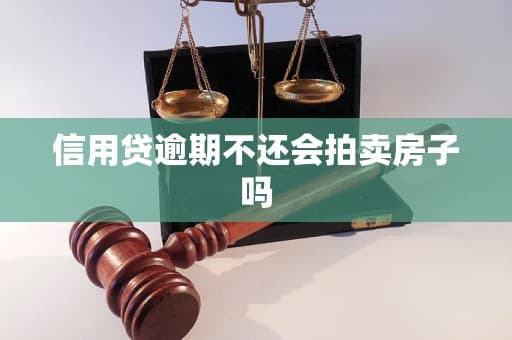 信用贷逾期不还会拍卖房子吗