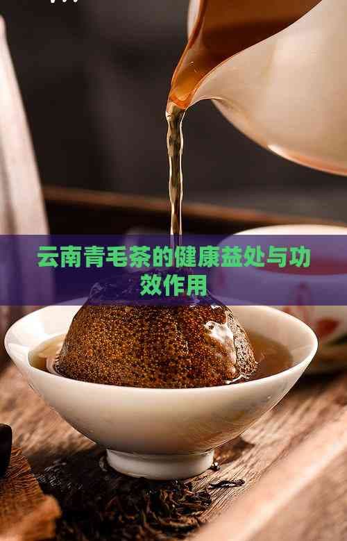 云南青毛茶的健康益处与功效作用