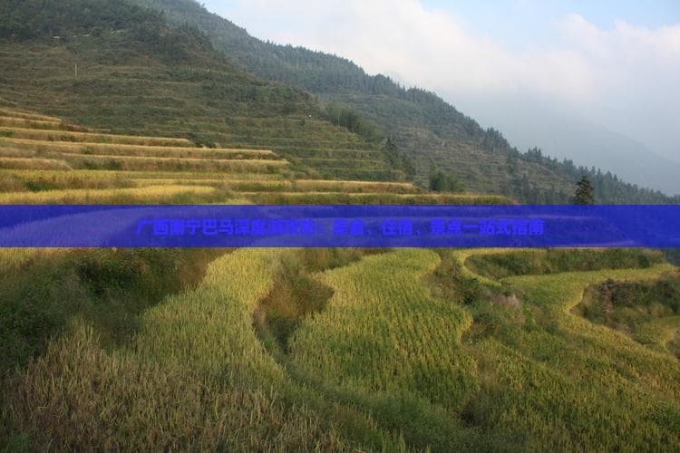 广西南宁巴马深度游攻略：美食、住宿、景点一站式指南