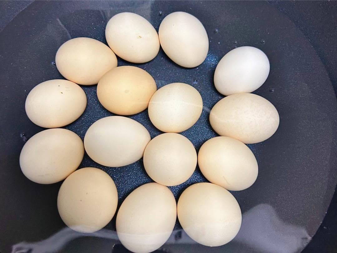 妈妈说，茶叶蛋要晚上做