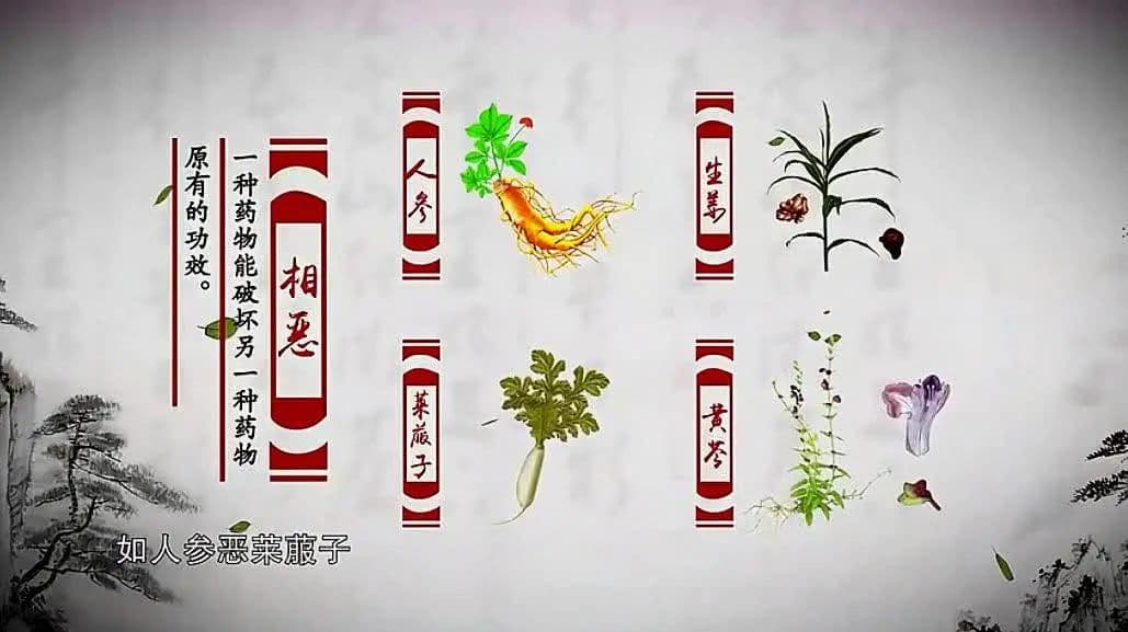 中药配伍之“七情”