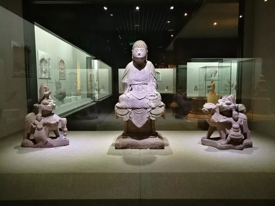 “象”这样的“牙”，我们能保住吗？