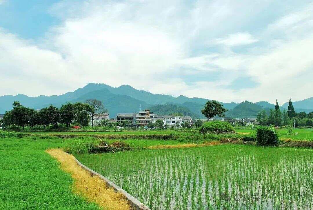 解构人性：从多维视角探寻人类精神本质