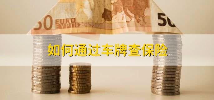 如何通过车牌查保险