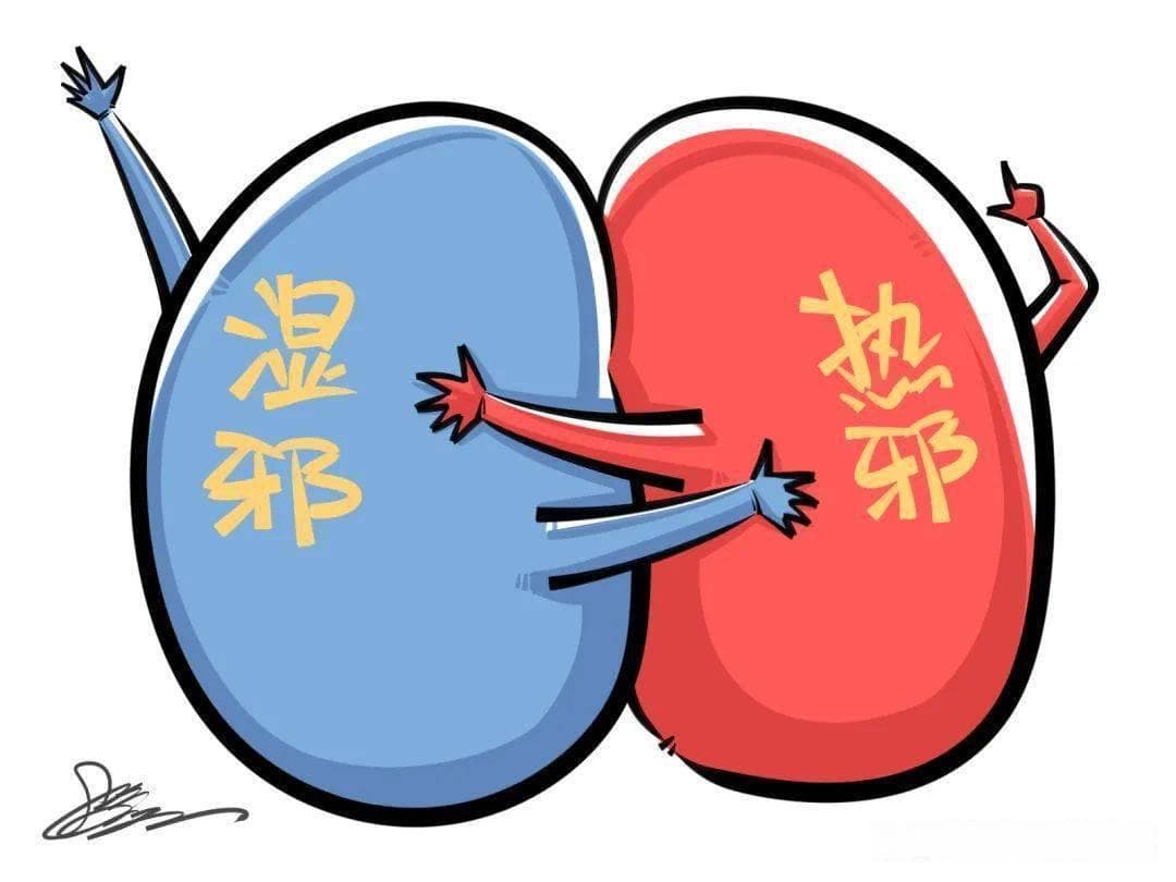 调理湿热下注的体质，我们可以从以下几个方面入手