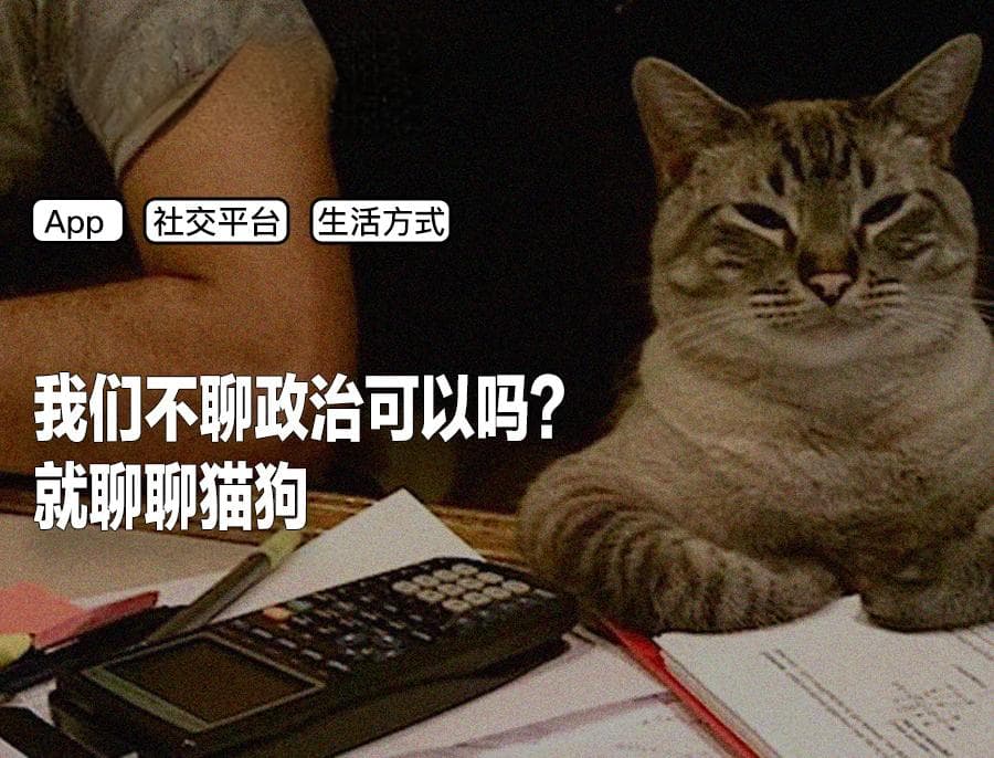 中美网民在小红书接头的48小时
