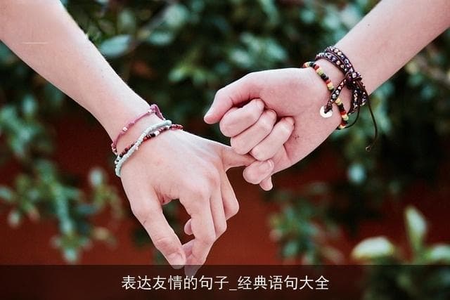 表达友情的句子_经典语句大全