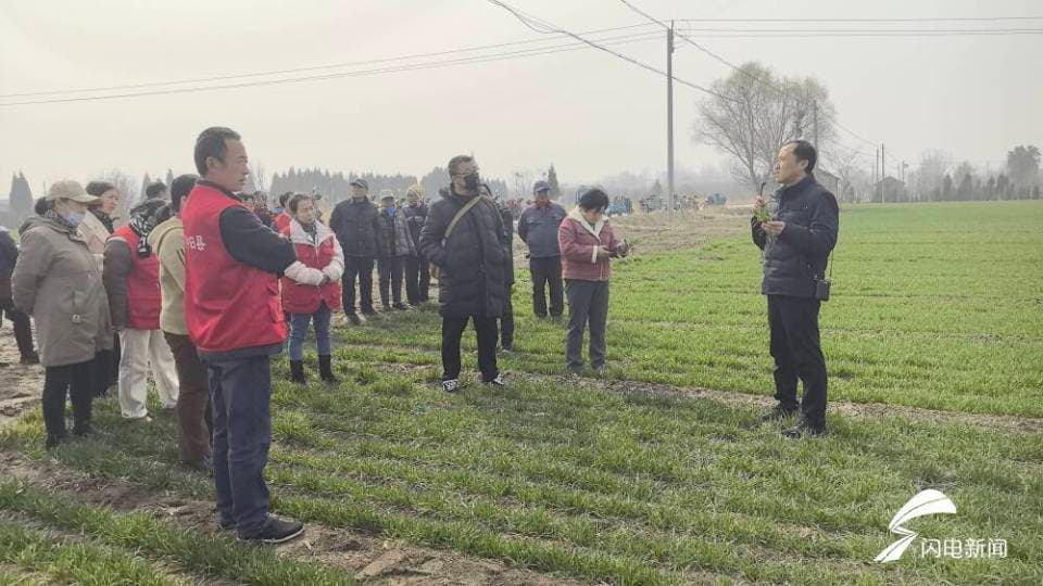 田间课堂解锁科学春管 泰山区开展春季农民大培训