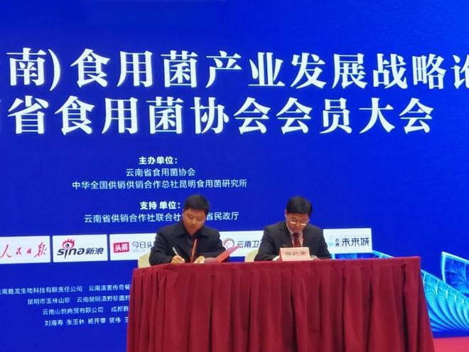 云南野生菌：4000年食用历史，占全球一半产量