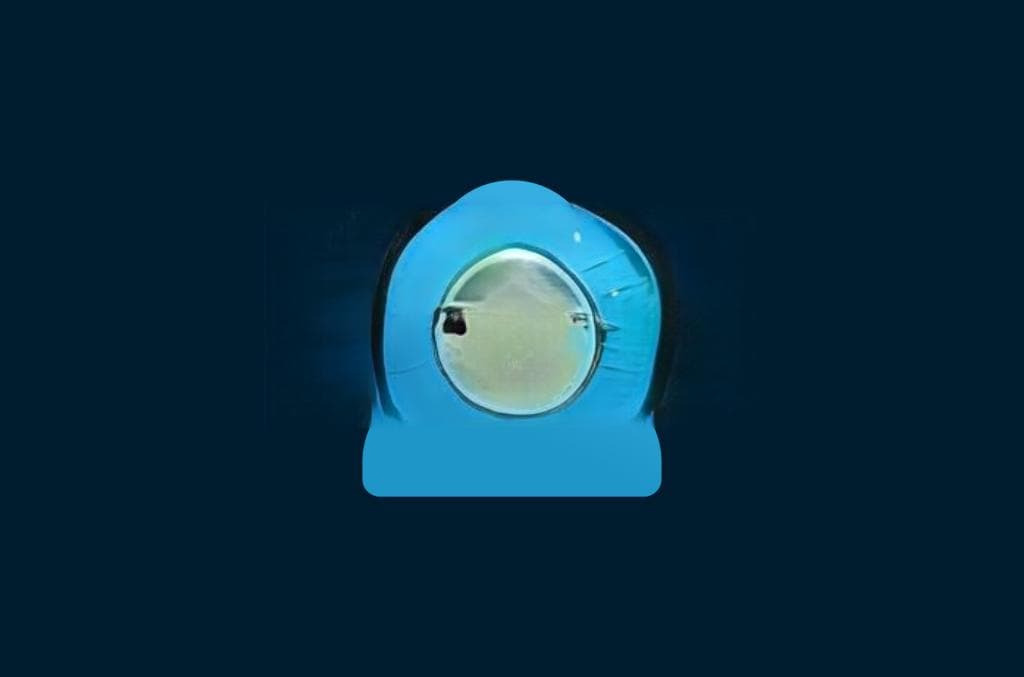 Telegram可以扫码加好友吗？
