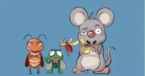 灭“四害”保健康，夏季来临，谨防病媒生物性传染病→