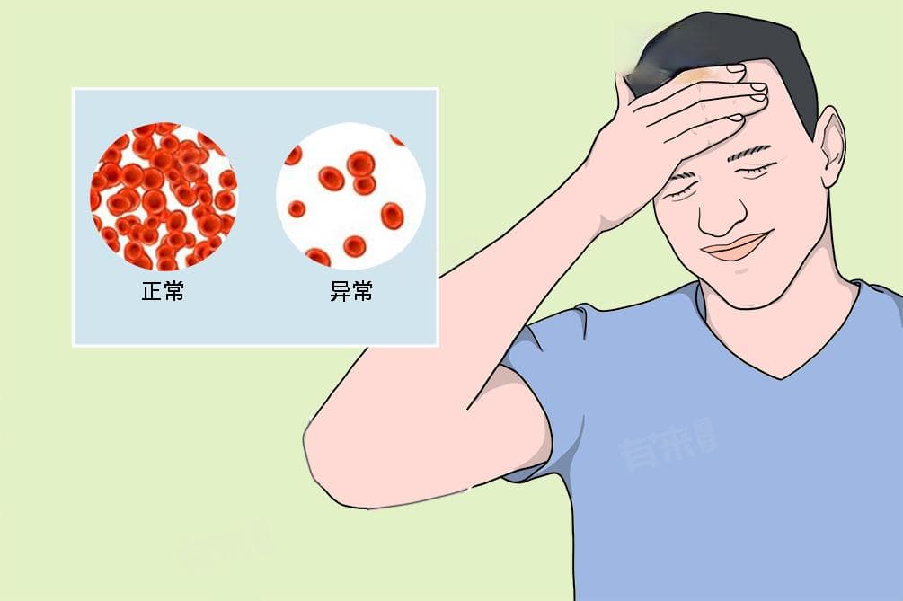 红细胞和血红蛋白偏低说明什么