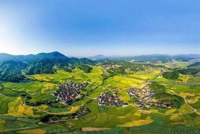 农村电商发展的现状与策略研究：如何助力乡村振兴