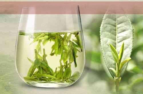当归与陈皮配伍功效、比例、禁忌及用量意义