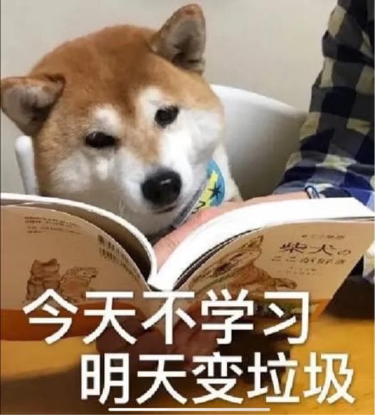 对不同院校背景的计算机保研er来说，最核心的竞争力是什么？