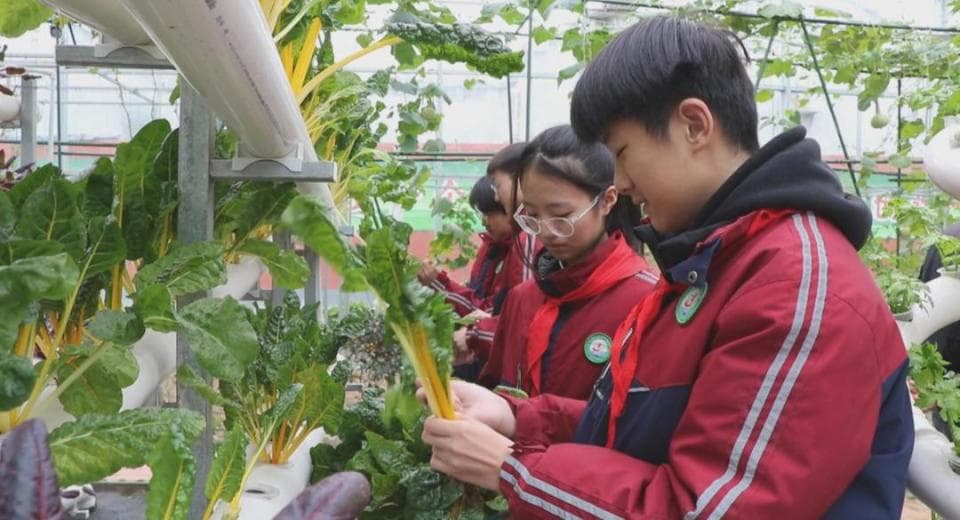 郓城：非遗与现代教育的碰撞，科技大集上的‘劳动+’课堂”