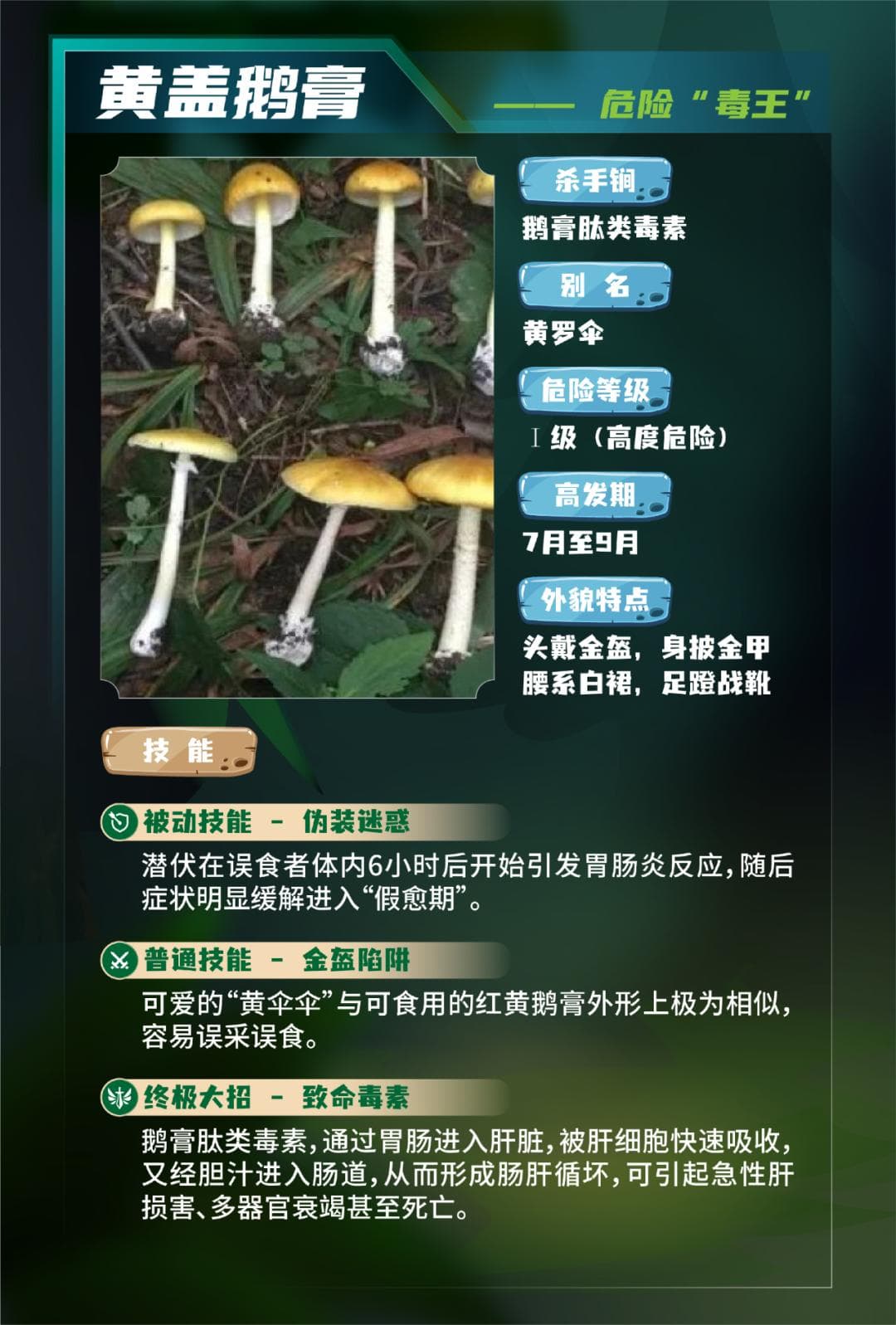 北京近期雨后毒蘑菇泛滥，专家提醒：不采摘、不购买、不食用