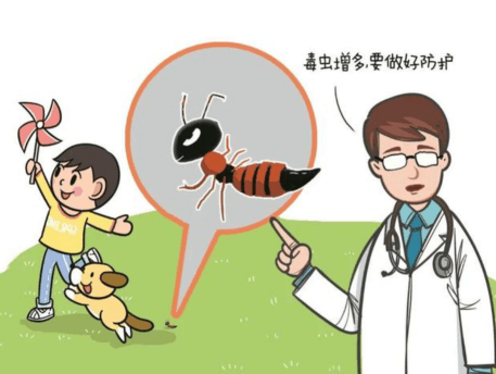 虫咬伤过敏性休克的急救措施在家中该如何采取？